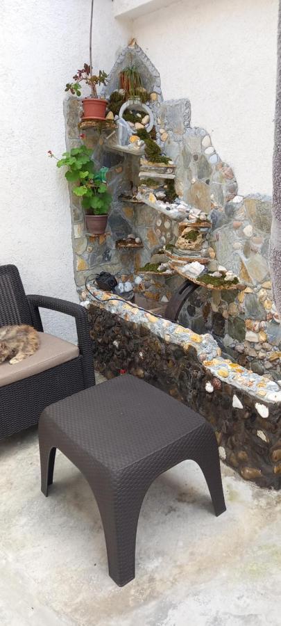 Casa De Vacanta Bucuria Marii Κονστάντζα Εξωτερικό φωτογραφία